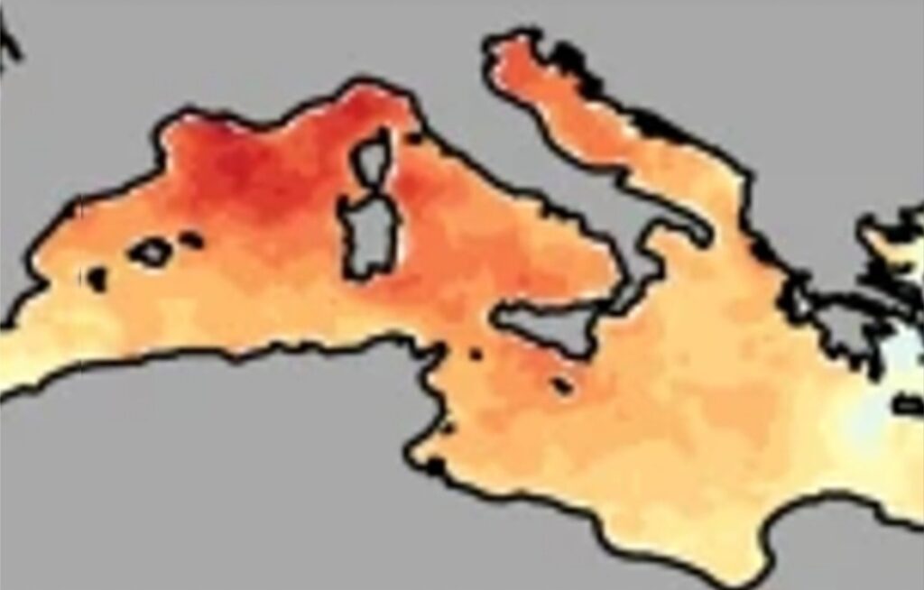 Ondate di calore marino nature