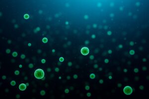 Prochlorococcus