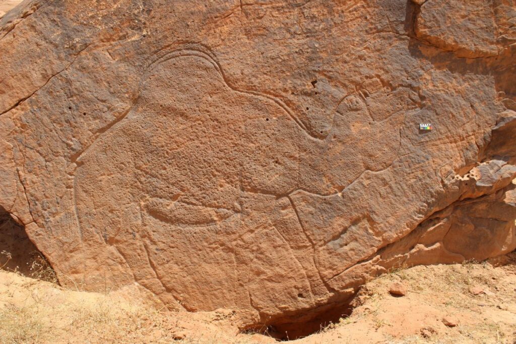 Scoperte archeologiche