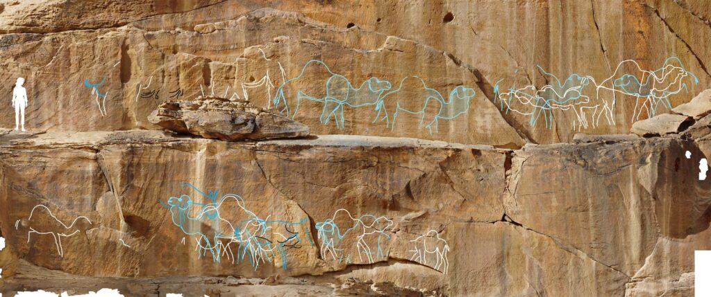 Scoperte archeologiche