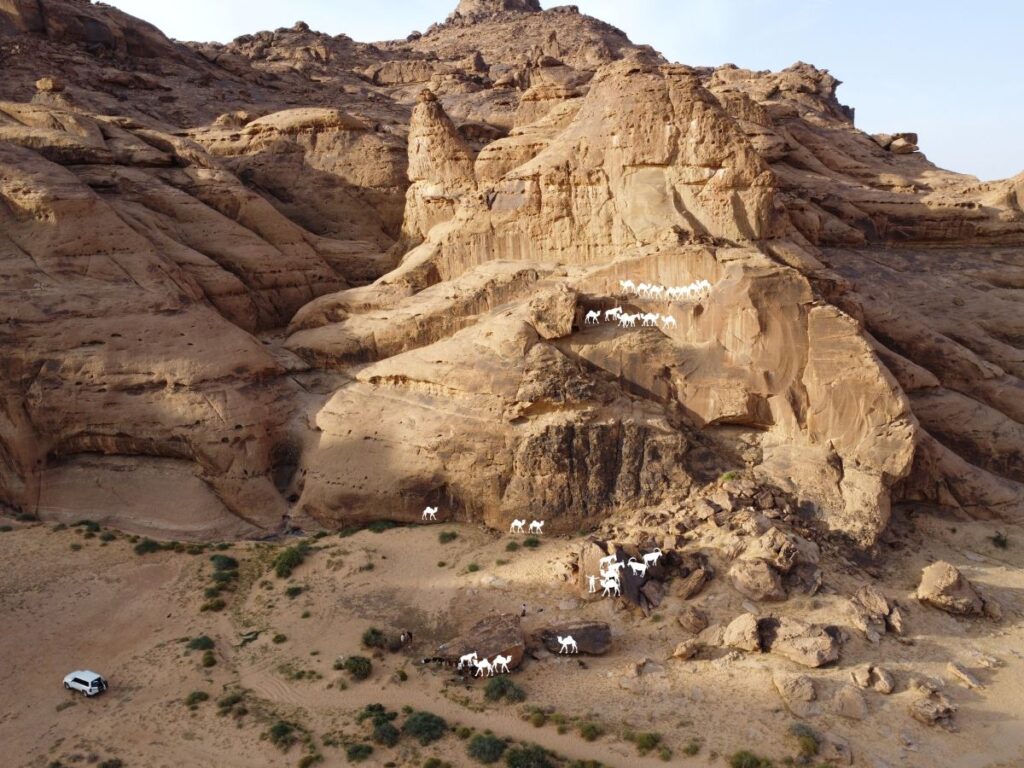 Scoperte archeologiche