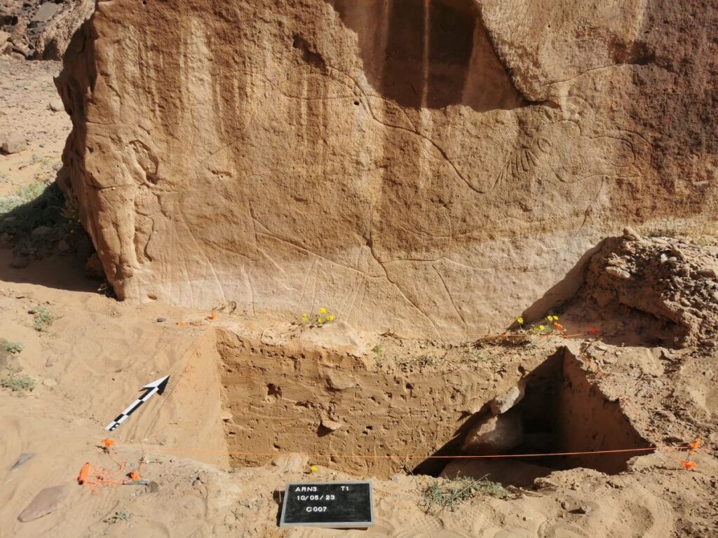 Scoperte archeologiche