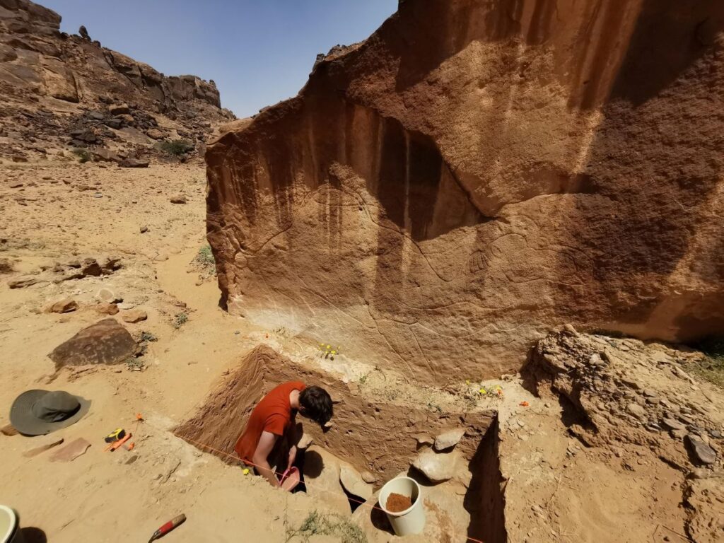 Scoperte archeologiche