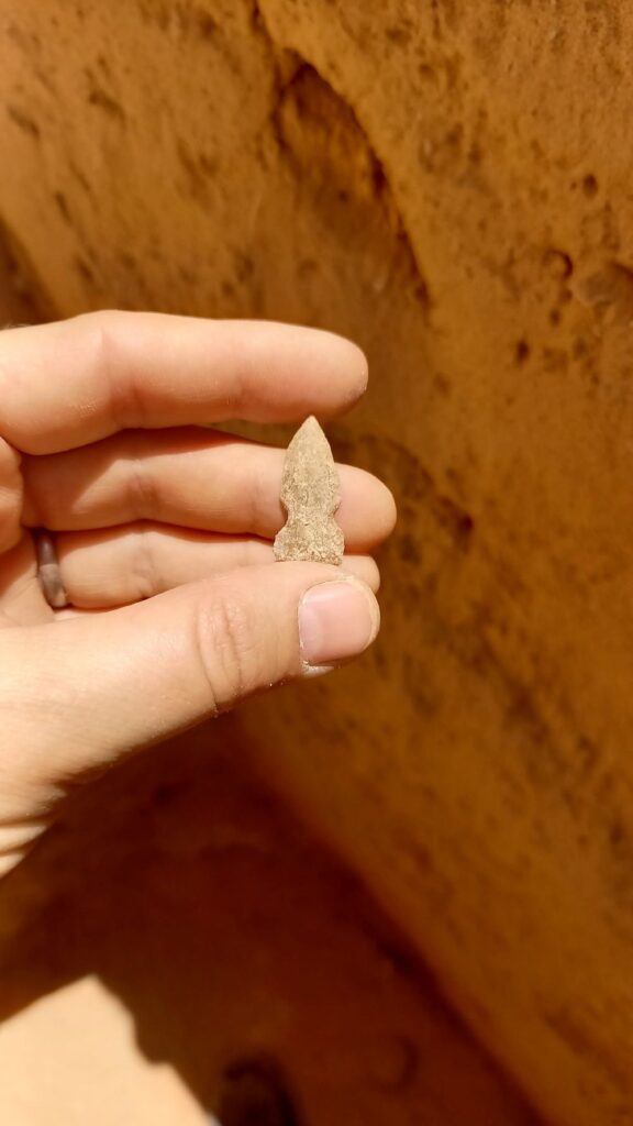 Scoperte archeologiche