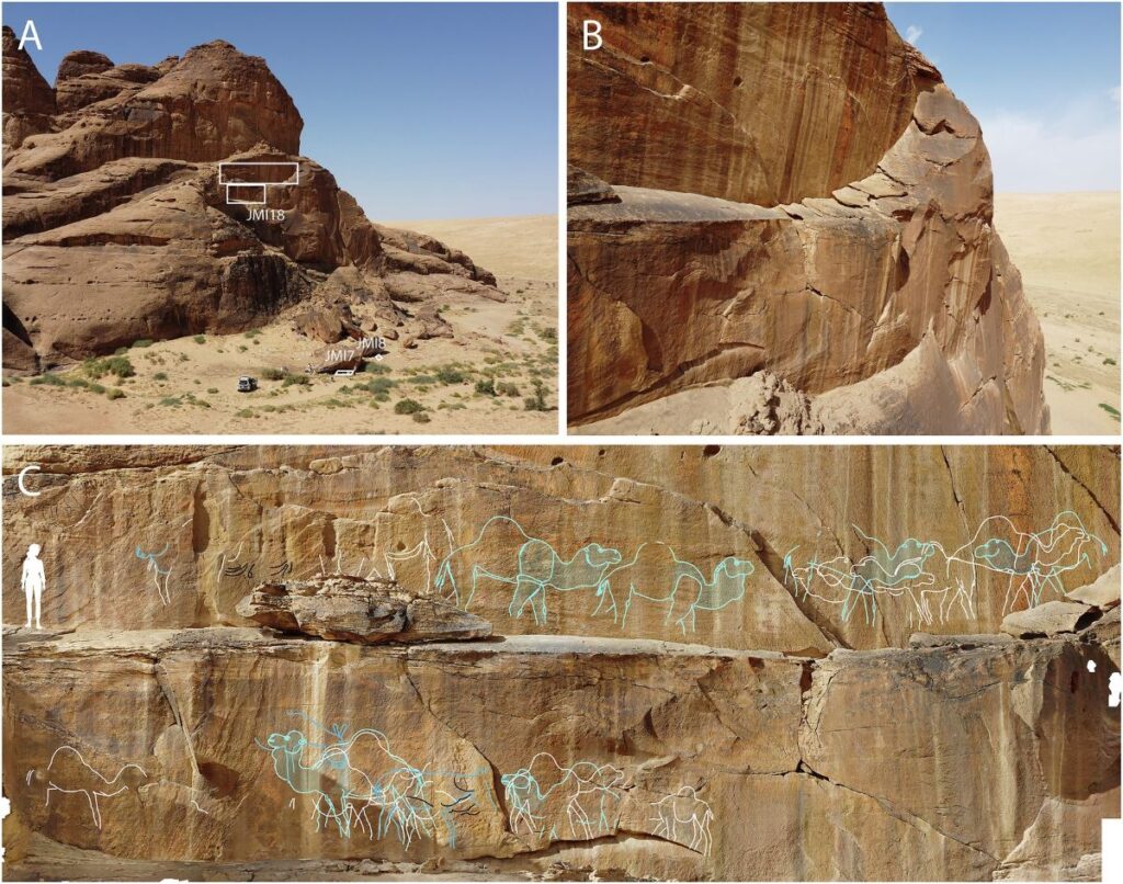 Scoperte archeologiche