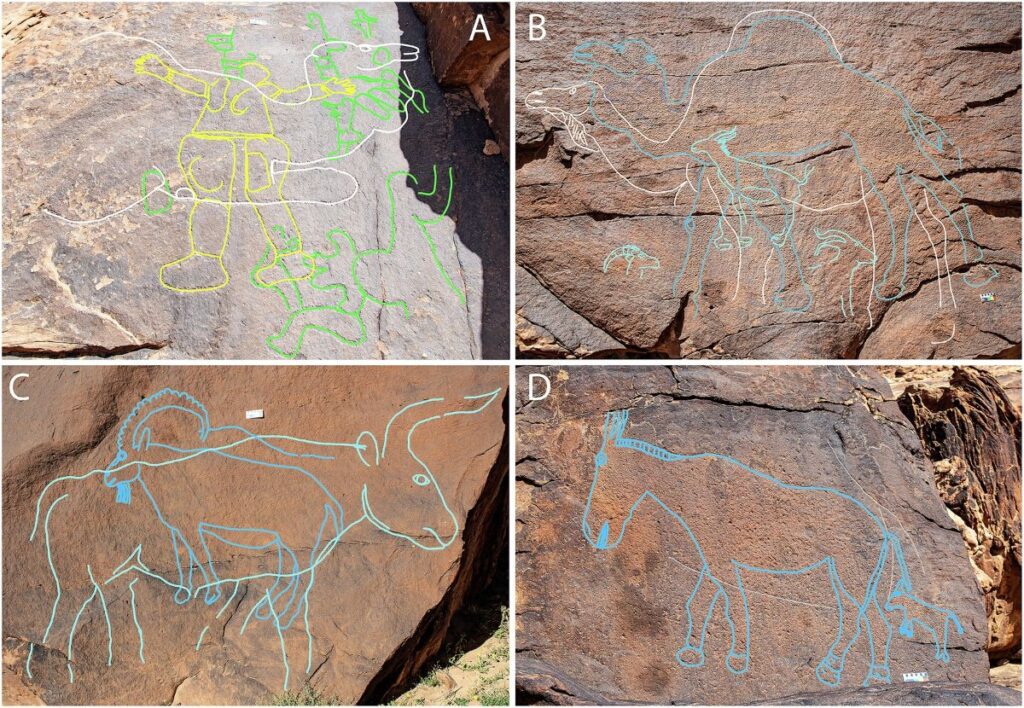 Scoperte archeologiche