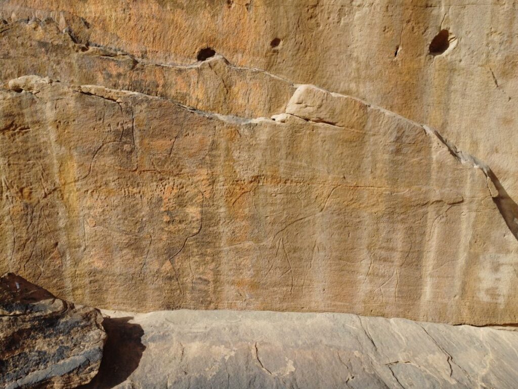 Scoperte archeologiche