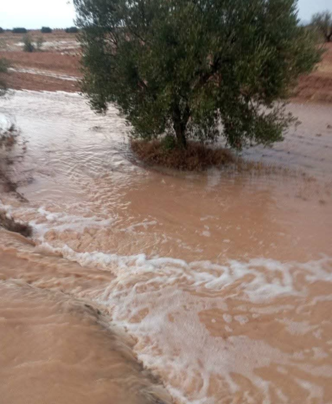 Temporali e allagamenti Tunisia