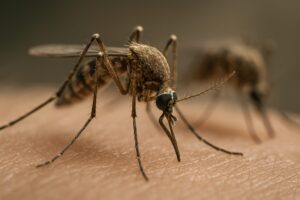 West Nile