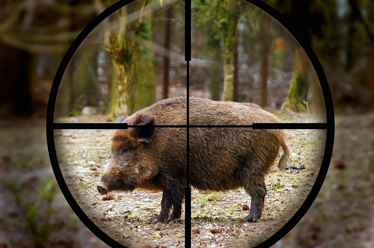 Tragedia a Carrù: durante una battuta di caccia spara al cinghiale ma uccide l’amico