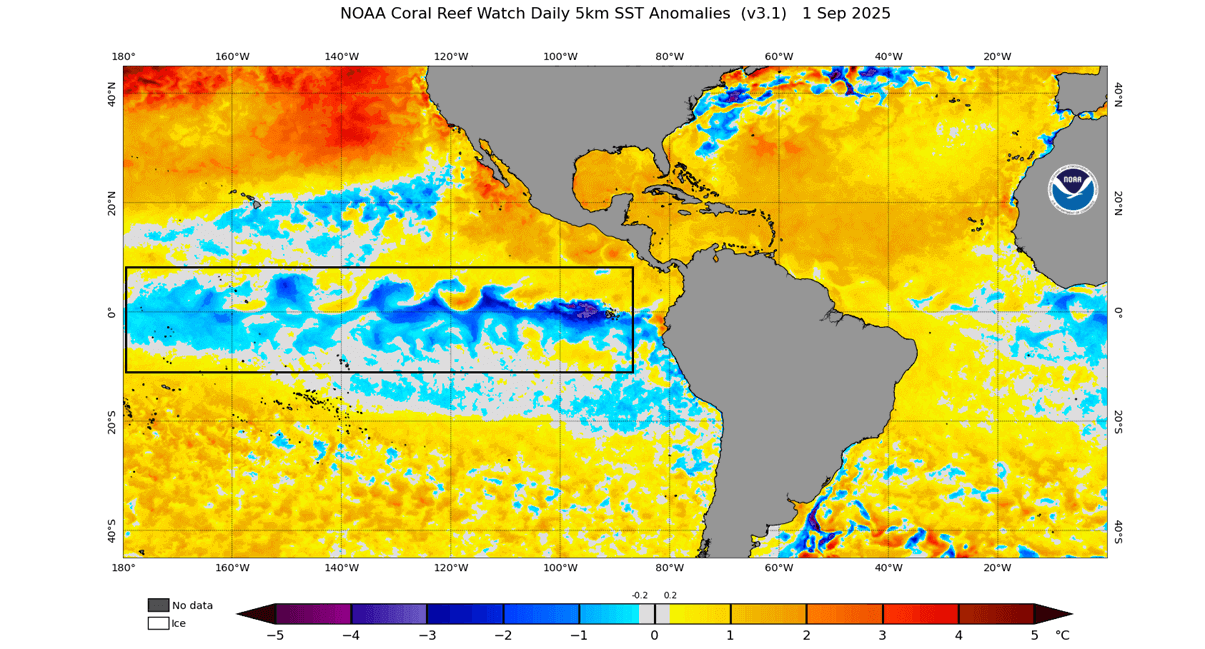 enso 1 settembre 2025