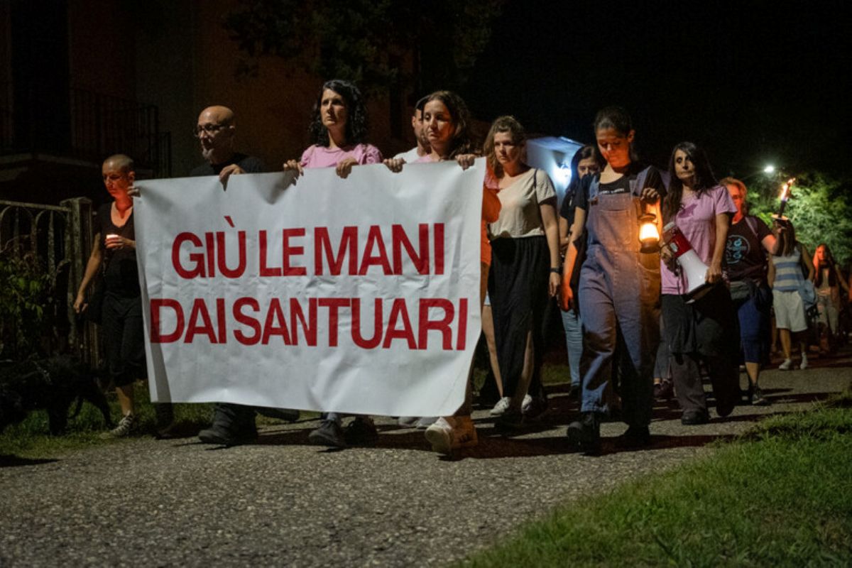 Fiaccolata a Sairano per ricordare i maiali uccisi due anni fa dalla peste suina