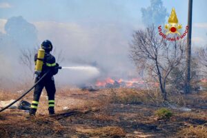 incendi boschivi vigili del fuoco generica