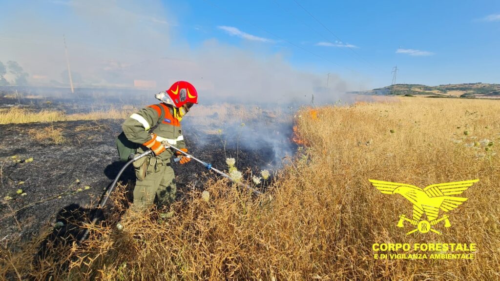incendi sardegna