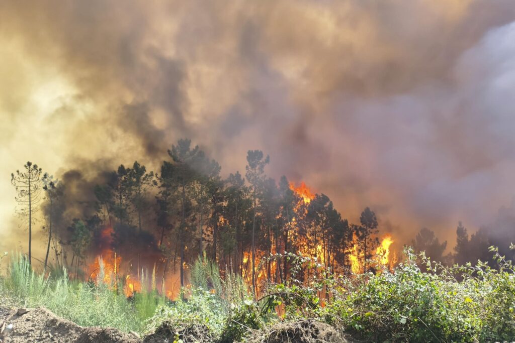 incendi spagna