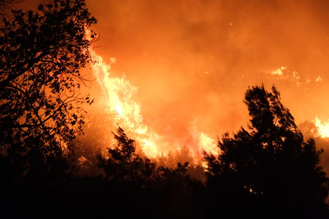 incendi turchia