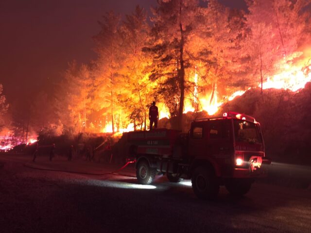 incendi turchia