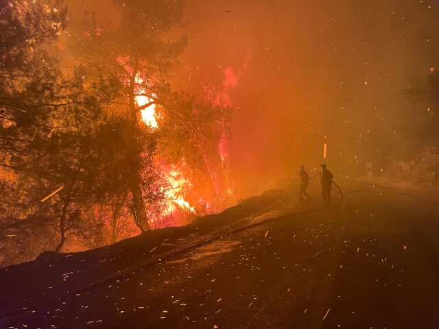 incendi turchia