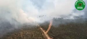 incendio caltagirone sicilia