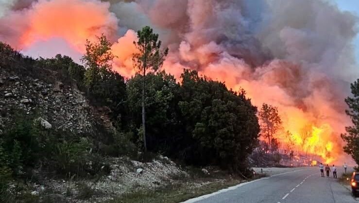 Francia, grosso incendio in Corsica: le fiamme divampano a Venaco | VIDEO