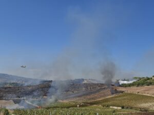 incendio montevago sicilia