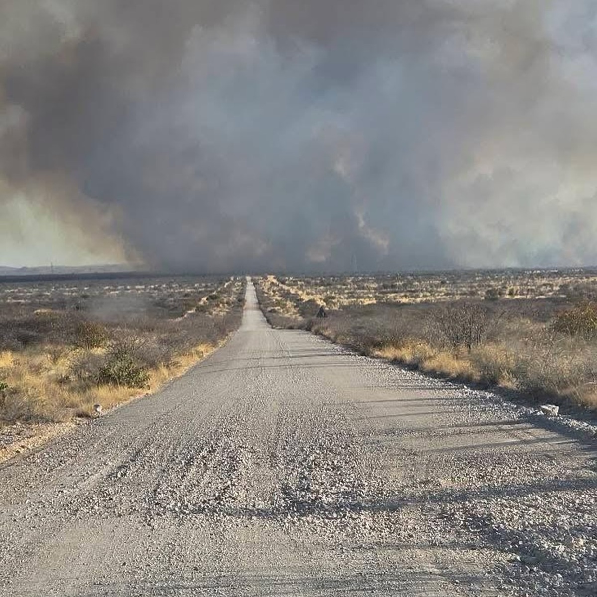 Incendio distrugge un terzo del Parco Nazionale Etosha in Namibia: inviati militari | FOTO
