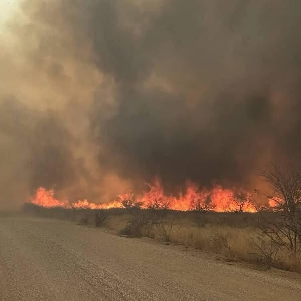 incendio namibia