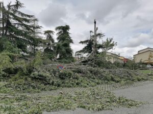maltempo san bonifacio veneto