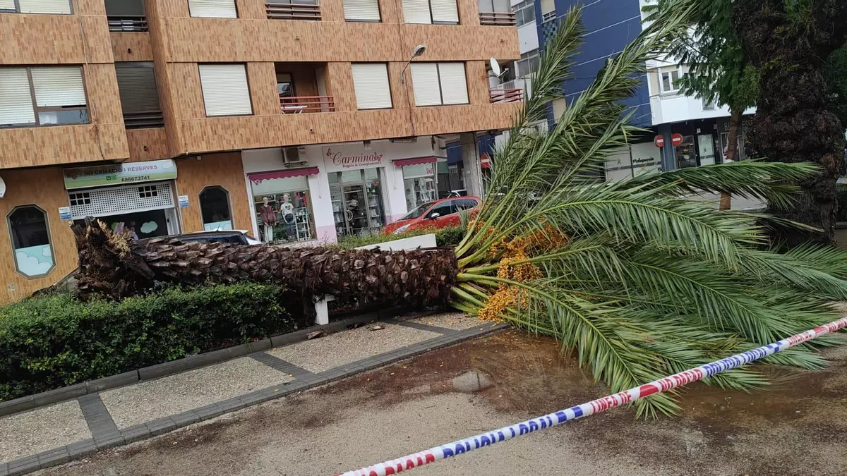 Maltempo Spagna, forte tempesta di vento nelle province di Valencia e Alicante: raffiche di 100km/h, tanti danni | VIDEO