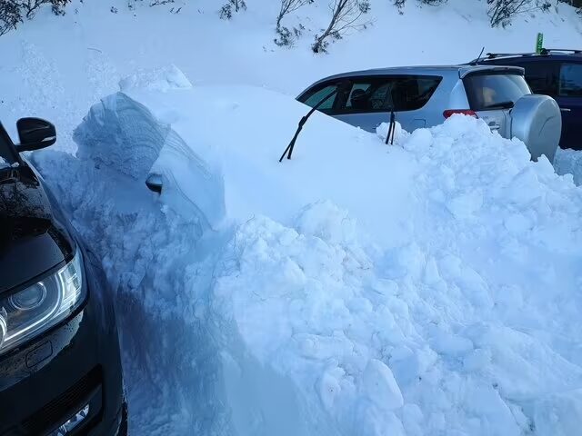 neve record australia