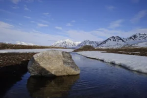 permafrost artico