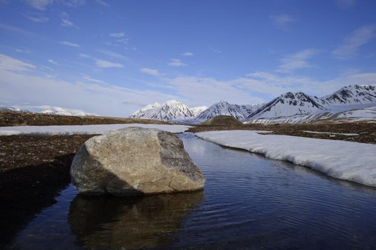 permafrost artico