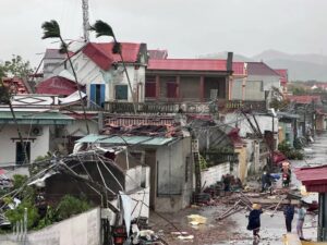 tifone bualoi vietnam