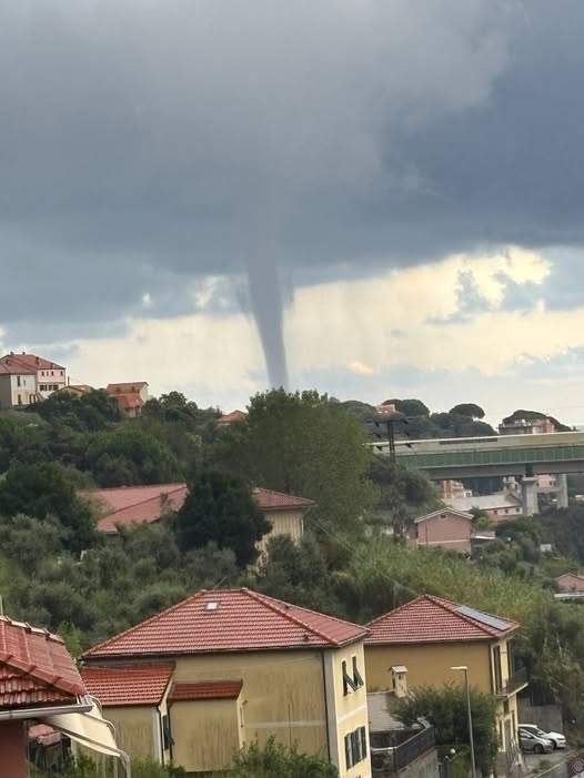 tromba marina celle ligure