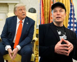 trump musk