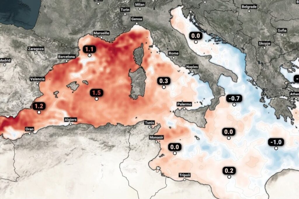 Anomalie SST Mediterraneo
