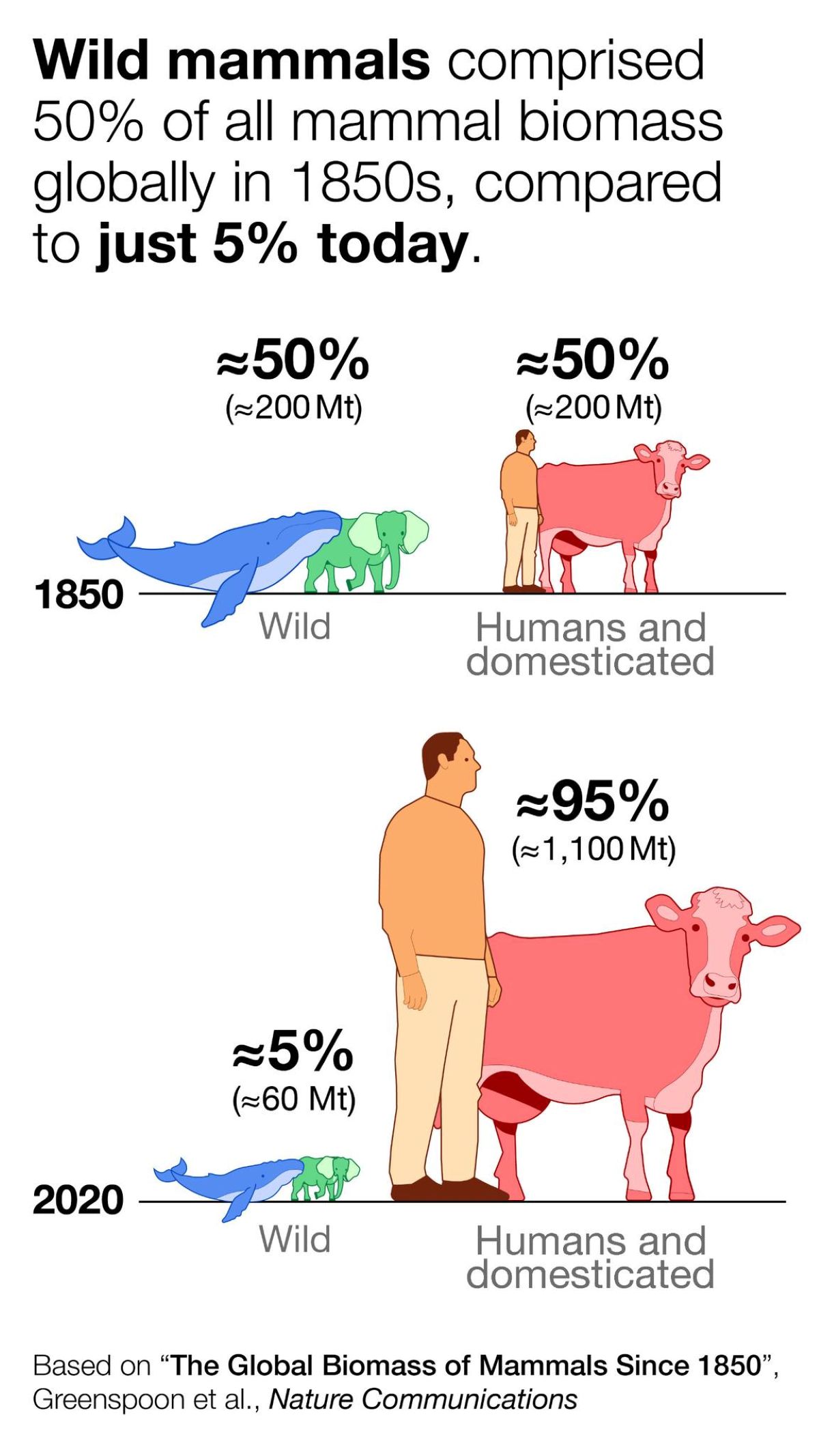 Biomassa umana