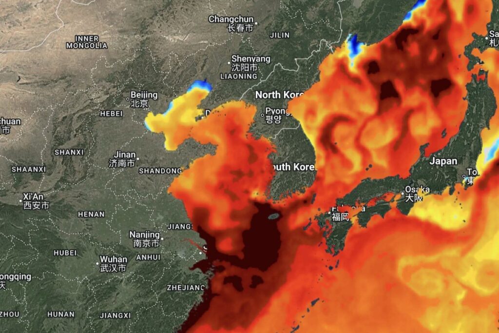 Caldo mar cinese orientale