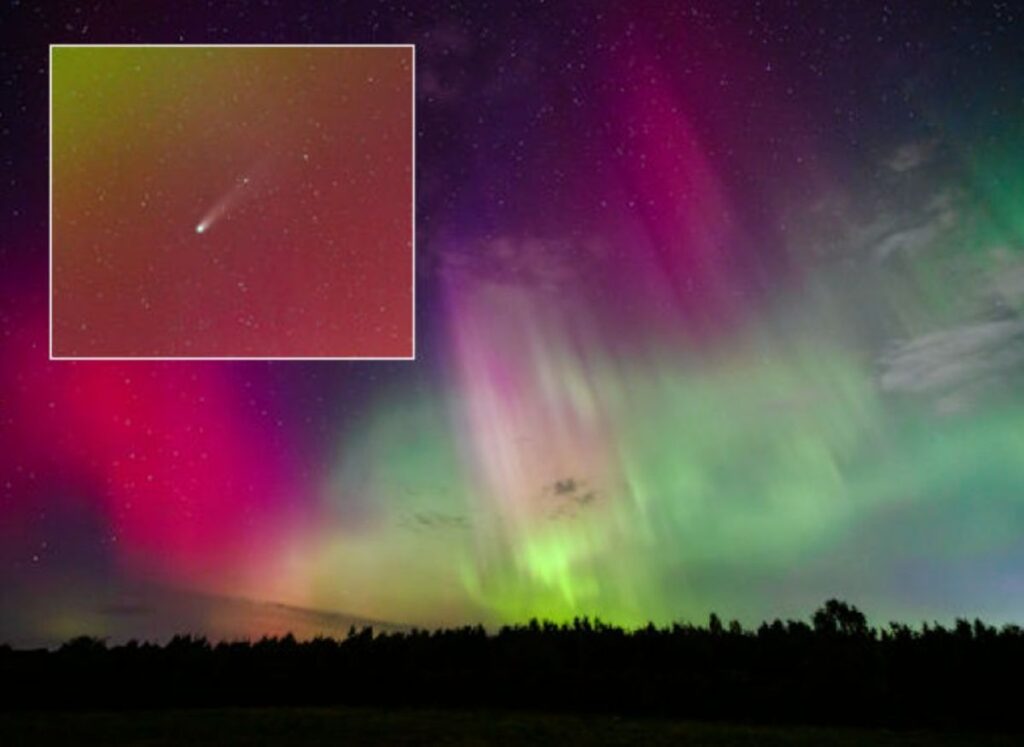 Cometa Lemmon
