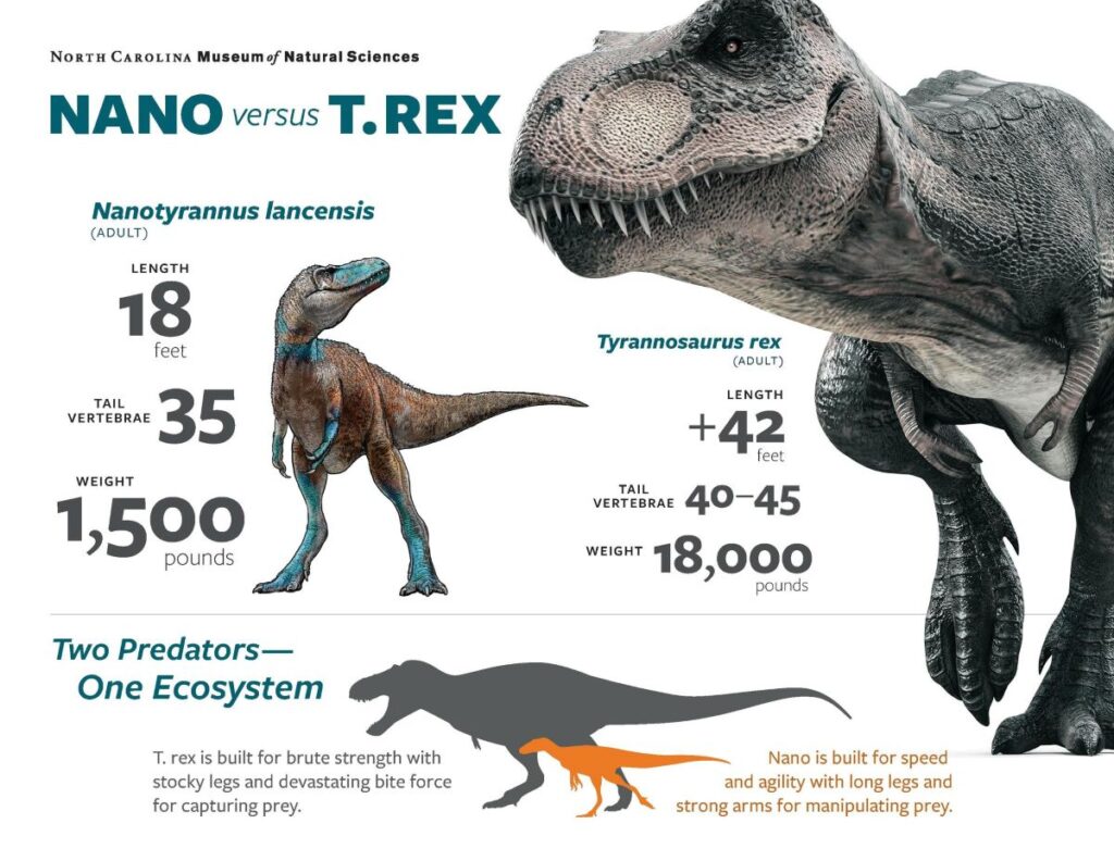 Dinosauri