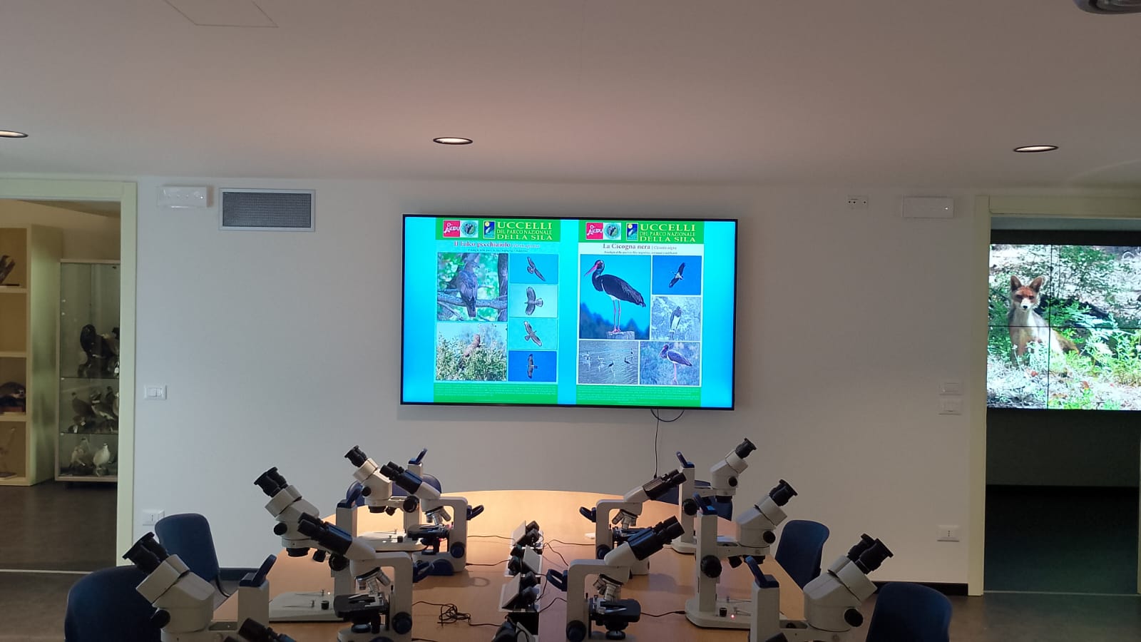 GLC LIPU SILA in visita al SiMu: un incontro tra conservazione e divulgazione scientifica