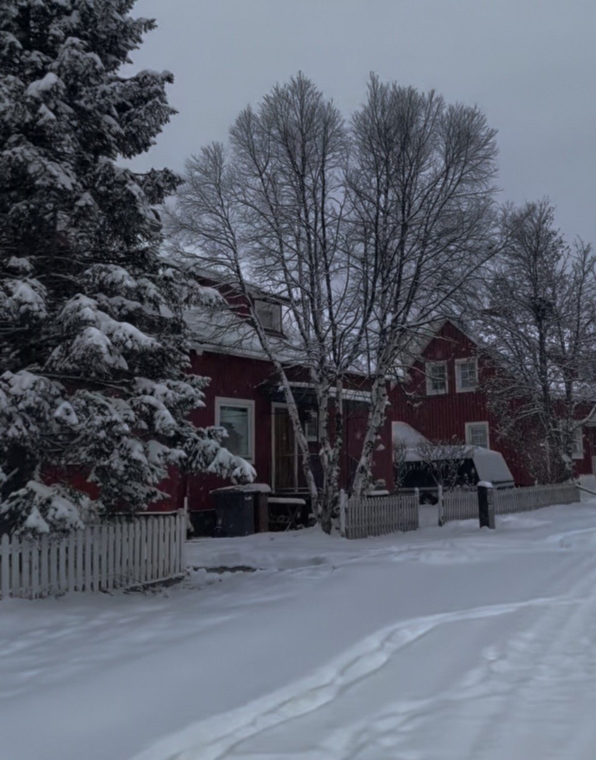 Kiruna neve