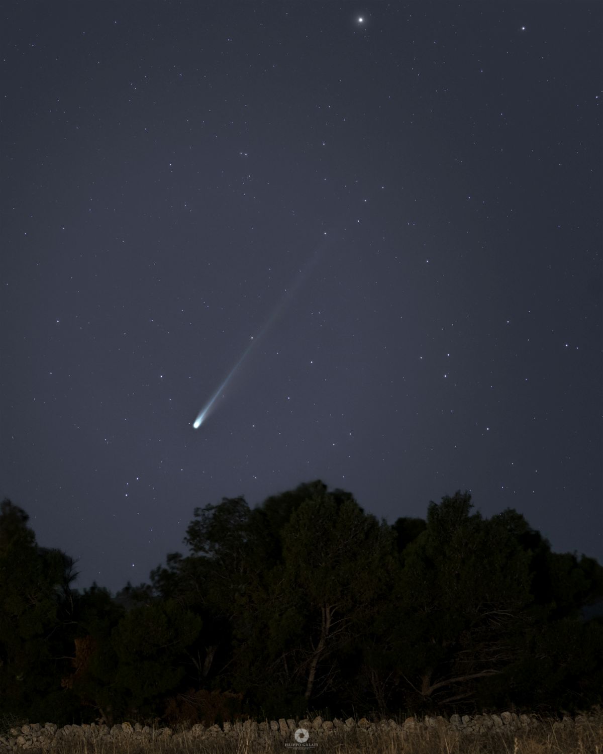 Cometa Lemmon