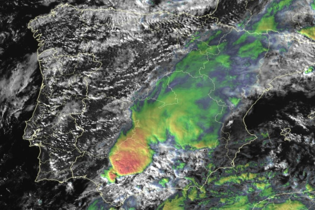MCS Spagna 29 ottobre