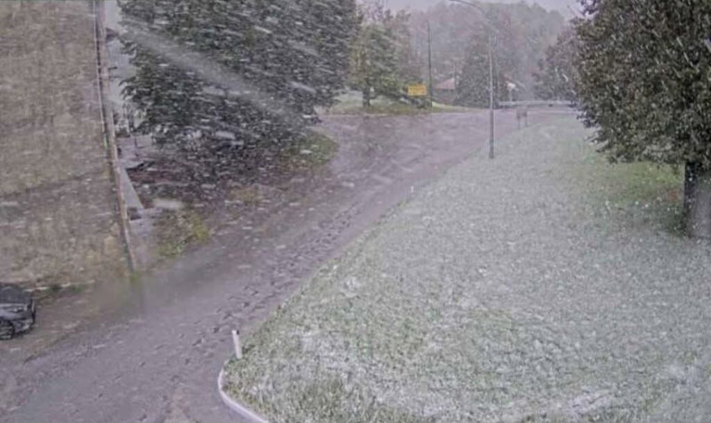 Neve Gorizia