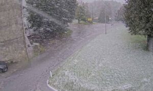 Neve Gorizia