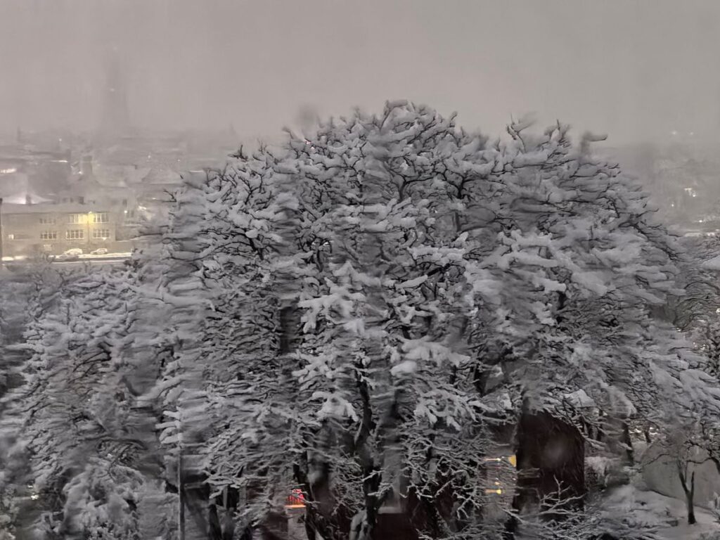 Neve Islanda