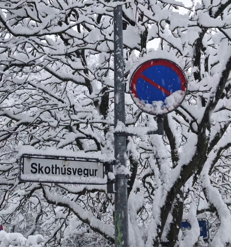 Neve Reykjavík