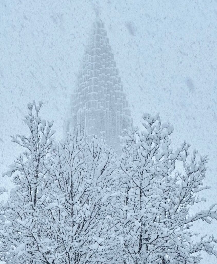 Neve Reykjavík