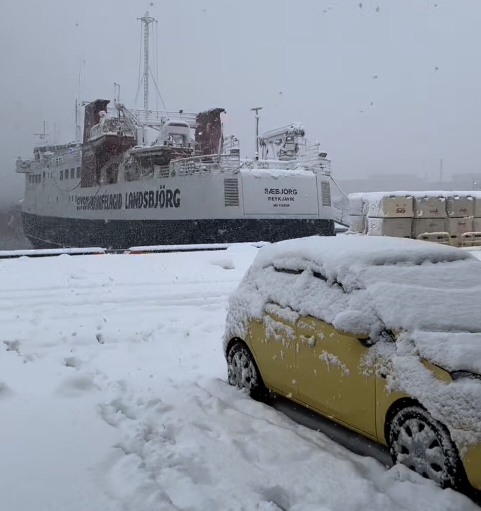 Neve Reykjavík